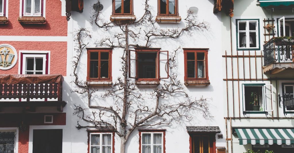 découvrez notre gamme de fenêtres en bois alliant esthétisme, durabilité et performance énergétique. offrez à votre maison une touche naturelle et chaleureuse avec des fenêtres en bois de haute qualité, conçues pour résister aux intempéries et améliorer le confort thermique de vos espaces.