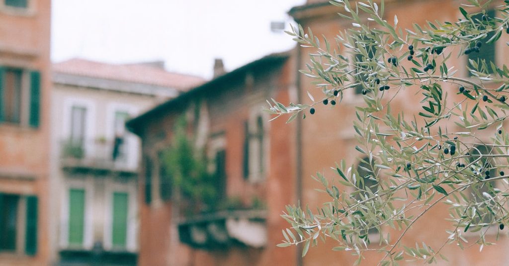 découvrez nos fenêtres en bois, alliant esthétique et performance. offrez à votre maison un style chaleureux et une isolation optimale grâce à nos produits de qualité, conçus pour durer.
