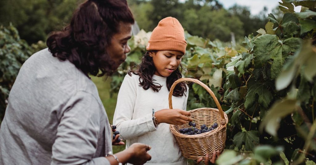découvrez les avantages écologiques essentiels pour notre planète, allant de la réduction des émissions de carbone à la préservation de la biodiversité. explorez comment des actions simples peuvent contribuer à un environnement plus sain et durable.