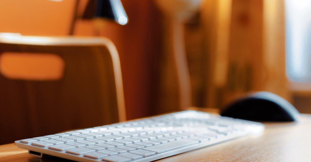 découvrez les différents types de bois, leurs caractéristiques et leurs utilisations pour vous aider à choisir le matériau idéal pour vos projets de construction ou de décoration. apprenez à connaître les essences de bois les plus populaires et leurs avantages.