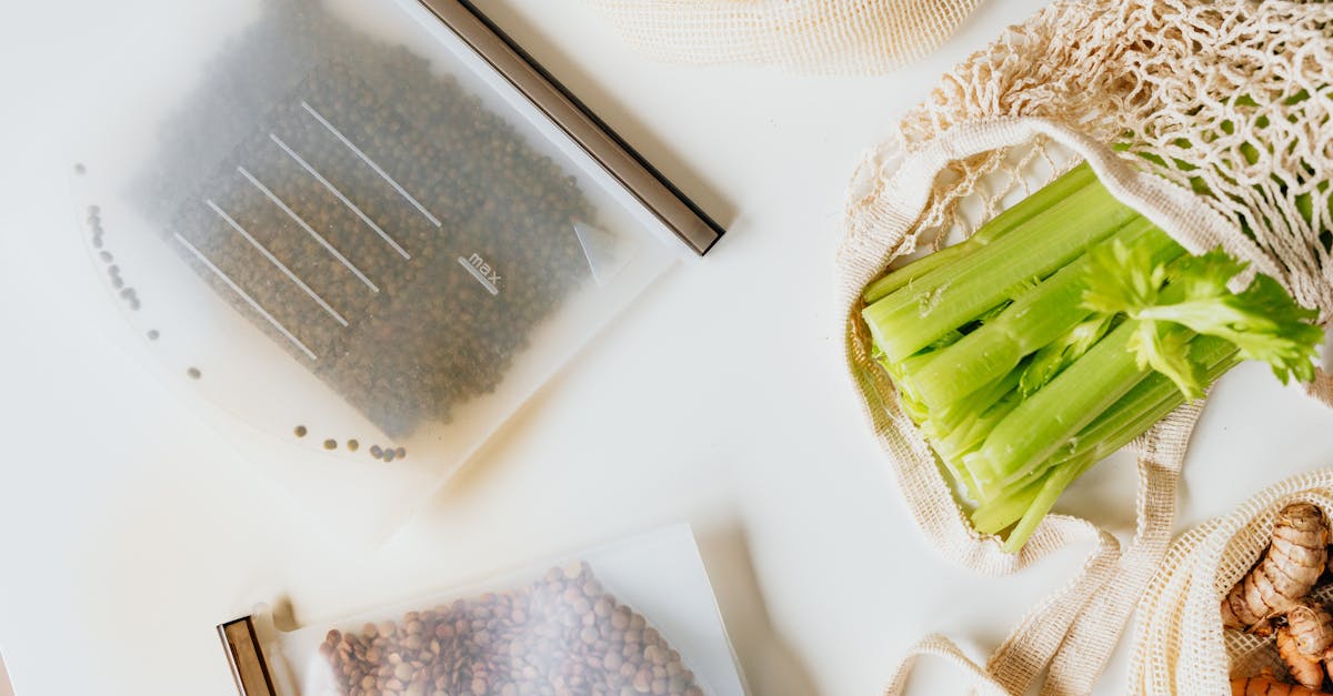 découvrez les avantages écologiques qui contribuent à la protection de notre planète. explorez comment des pratiques durables favorisent la biodiversité, réduisent les émissions de carbone et préservent les ressources naturelles.