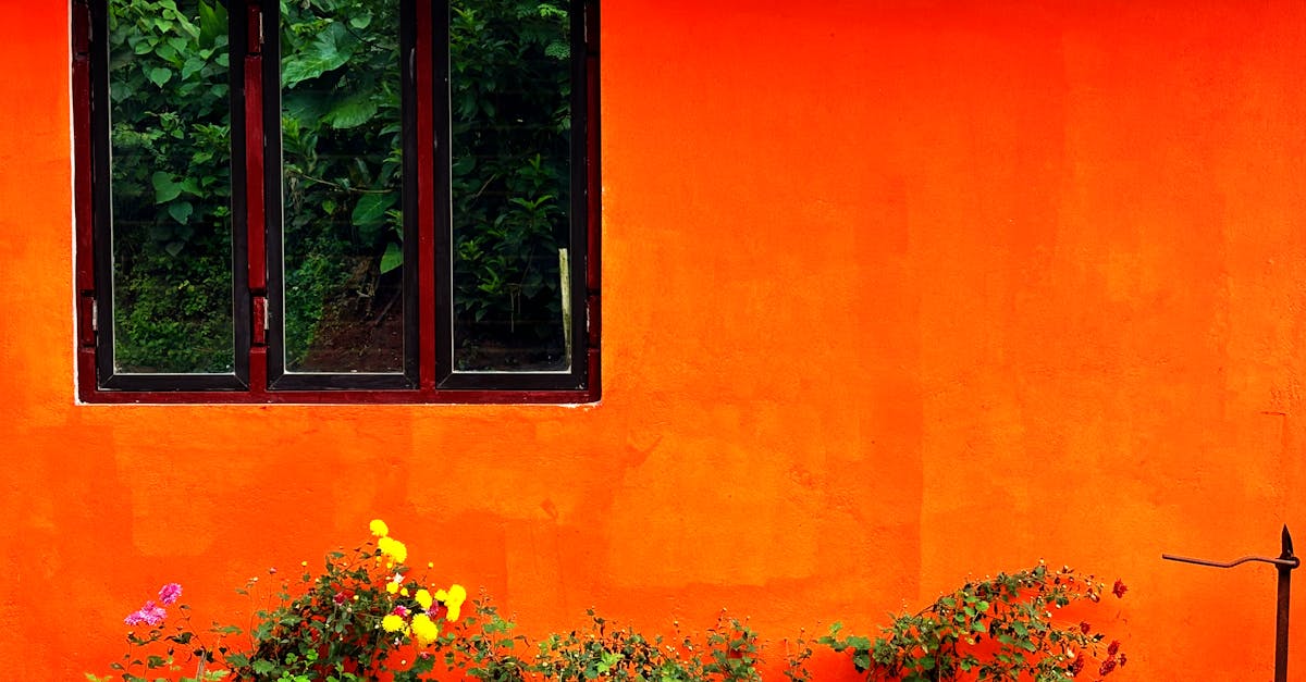 discover our PVC windows respecting standard standards, combining quality, durability and energy performance. ideal for modernizing your home while ensuring optimal insulation.