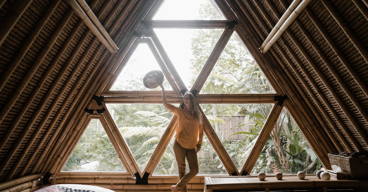 découvrez nos fenêtres en bois écologiques, alliant esthétisme, performance énergétique et respect de l'environnement. optez pour des solutions durables qui embellissent votre intérieur tout en réduisant votre empreinte carbone.