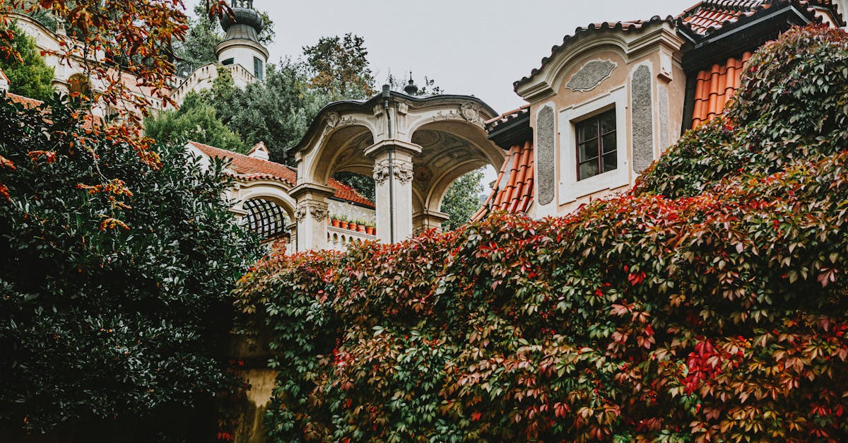 Descubra nuestras ventanas de PVC, que combinan durabilidad y eficiencia energética. disfrute de un diseño moderno y un aislamiento óptimo para su hogar. Explore nuestras opciones personalizables para encontrar la solución perfecta para sus necesidades.