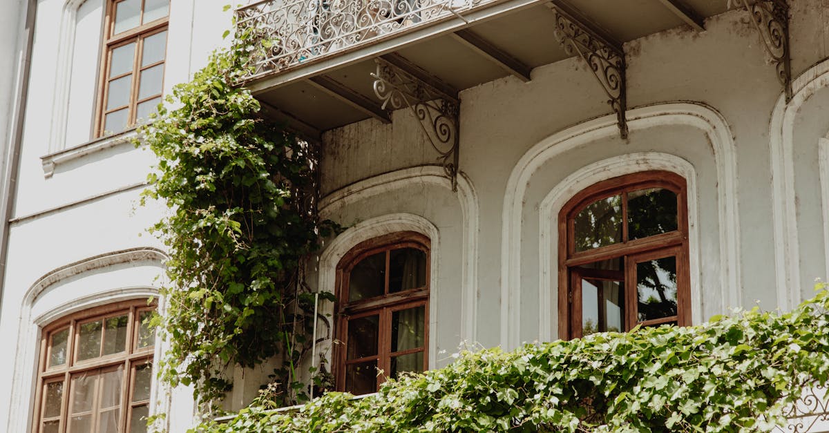 discover the beauty and durability of wooden windows. combining aesthetics and energy performance, our wooden windows bring charm and comfort to your home while respecting the environment.